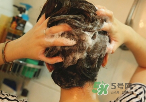 hair recipe水果洗發(fā)水怎么樣？hair recipe洗發(fā)水哪款好用