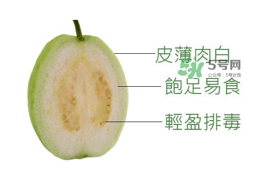 芭樂是什么季節(jié)的水果？芭樂什么時候吃最好