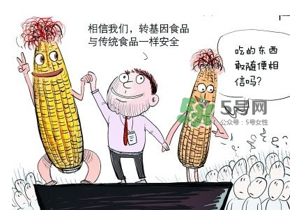 雜交水稻是不是轉(zhuǎn)基因？轉(zhuǎn)基因食品有哪些？
