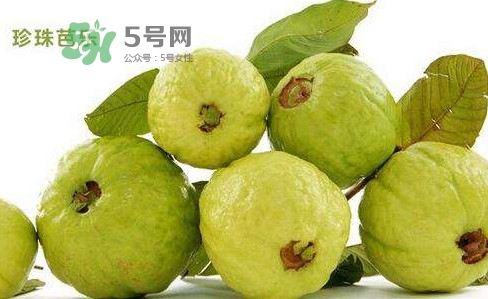 芭樂是什么季節(jié)的水果？芭樂什么時候吃最好