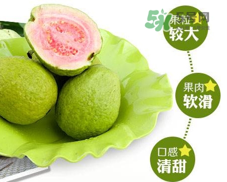 芭樂怎么挑選？如何挑選紅心芭樂