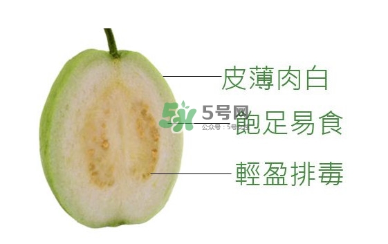 芭樂可以減肥嗎？吃芭樂可以喝牛奶嗎？