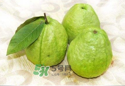 新鮮芭樂可以放幾天？芭樂能放多久