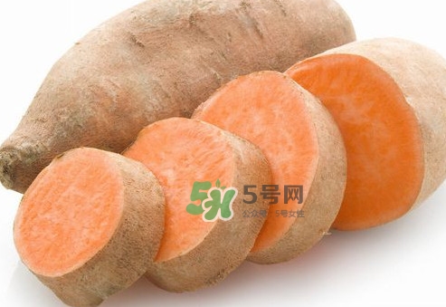 地瓜有哪些做法？地瓜跟紅薯有區(qū)別嗎