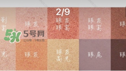 zoeva玫瑰金眼影盤(pán)怎么畫(huà)？zoeva rose golden畫(huà)法教程