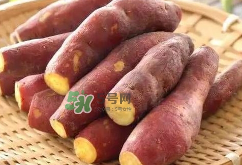 地瓜怎么做好吃？地瓜怎么吃好吃
