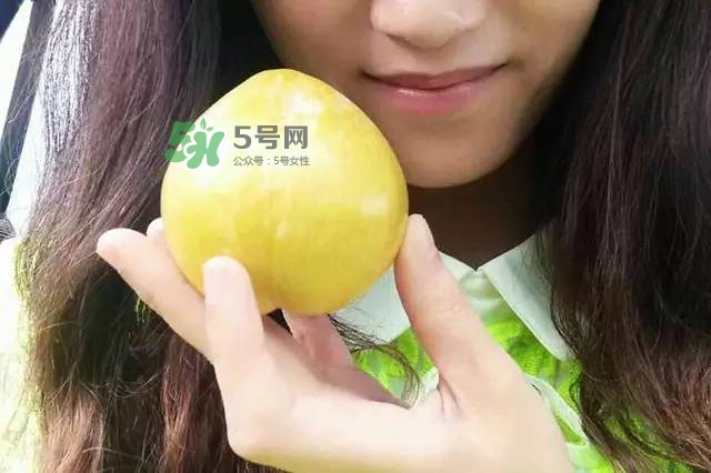 奈李是什么水果？奈李為什么會(huì)空心