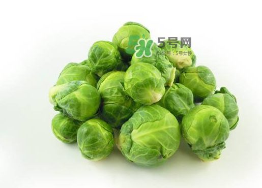 立秋可以種甘藍嗎？九月份能種甘藍嗎？