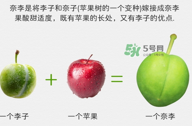 月經(jīng)期間可以吃奈李嗎？來月經(jīng)可以吃奈李嗎