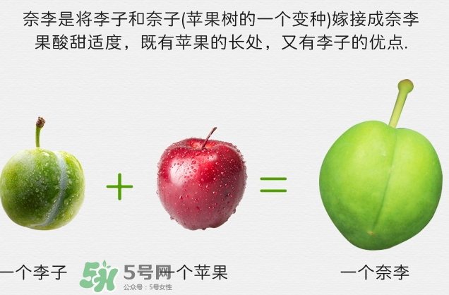 寶寶可以吃奈李嗎？寶寶多大可以吃奈李