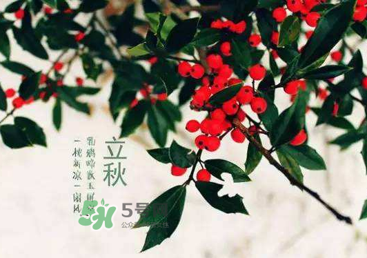 立秋為什么在處暑前？為什么立秋早過處暑？