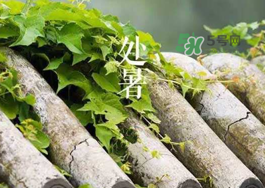 立秋為什么在處暑前？為什么立秋早過處暑？