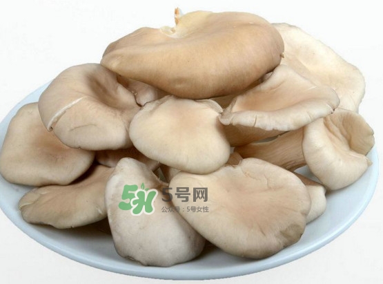 秀珍菇可以和海帶一起吃嗎？海帶能和秀珍菇一起吃嗎