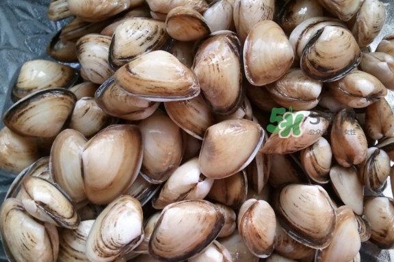 海瓜子多少錢一斤？西湖撈起的海瓜子能吃嗎