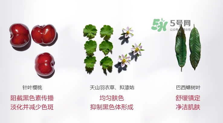 嬌韻詩牛奶水好用嗎？嬌韻詩牛奶水孕婦可以用嗎