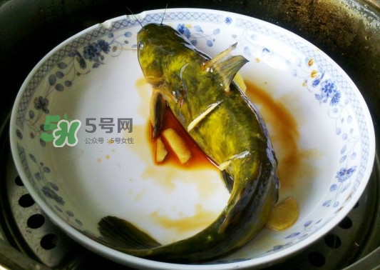 黃刺魚怎么殺？黃刺魚怎么處理