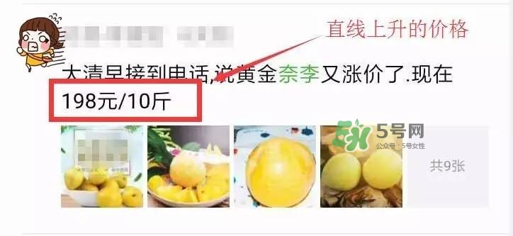 黃金奈李多少錢一斤？黃金奈李價格