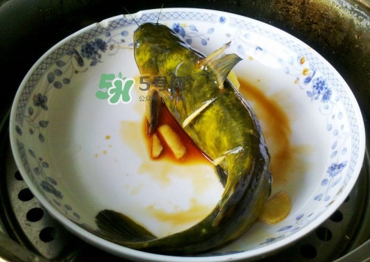 黃刺魚死了能吃嗎？黃刺魚不能與什么同食