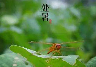 立秋為什么在處暑前？為什么立秋早過(guò)處暑？