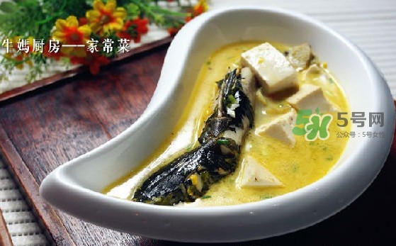 黃刺魚怎么殺？黃刺魚怎么處理