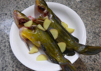 黃刺魚幾月份最好釣？黃刺魚怎么釣