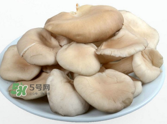 秀珍菇孕婦可以吃嗎？孕婦能吃秀珍菇嗎