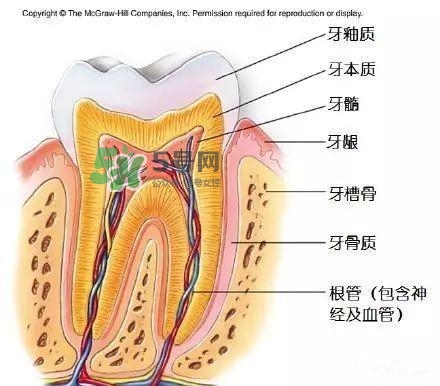 regenerate牙膏多少錢(qián)？regenerate牙膏專柜價(jià)格
