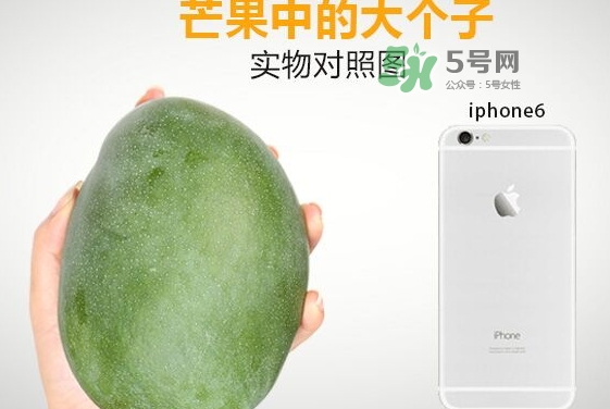 凱特芒果多少錢一斤？凱特芒果價(jià)格