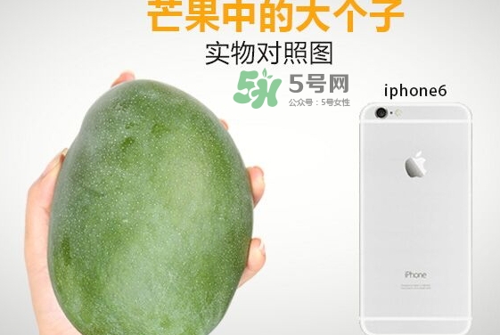 凱特芒果什么時(shí)候上市？凱特芒果上市時(shí)間