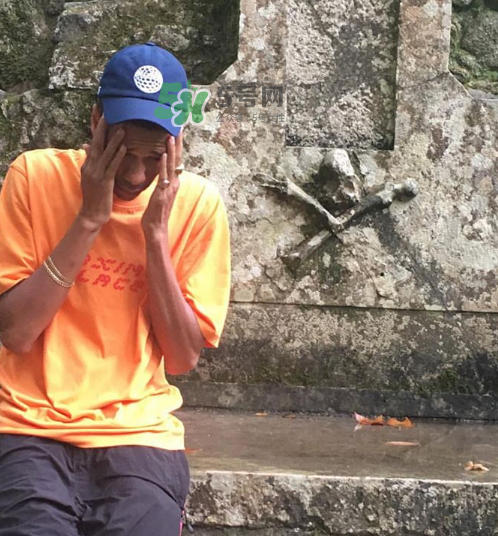 palace2017秋冬新款tri ferg tee什么樣_什么時(shí)候發(fā)售？