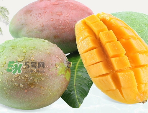 凱特芒果什么時(shí)候上市？凱特芒果上市時(shí)間