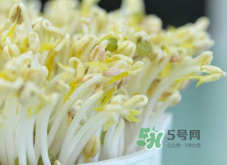 豆芽什么季節(jié)吃？豆芽什么時候有