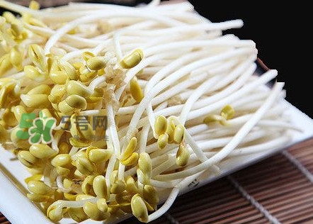豆芽有根好還是無(wú)根好？無(wú)根豆芽與有根豆芽區(qū)別