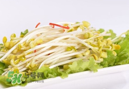 豆芽怎么保存？新鮮豆芽放冰箱能放幾天？