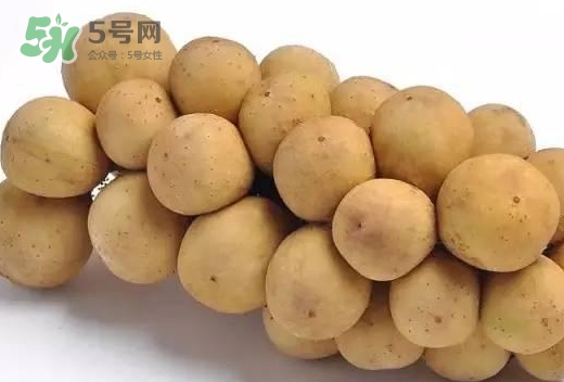 龍宮果多少錢一斤？龍功果價(jià)格表
