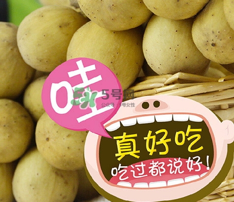 龍宮果多少錢一斤？龍功果價(jià)格表