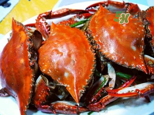 梭子蟹可以煮嗎？梭子蟹怎么煮？