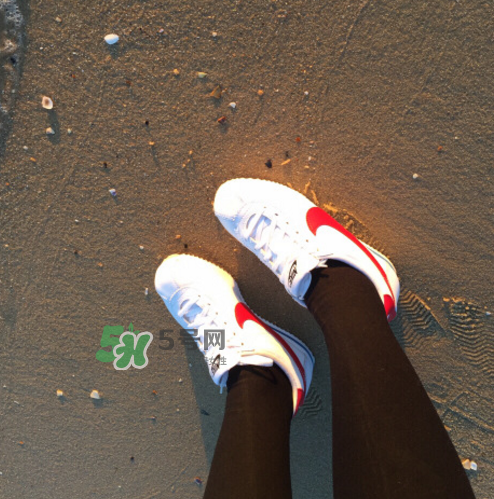 nike cortez jewel皮革版多少錢？耐克阿甘鞋皮革款價(jià)格