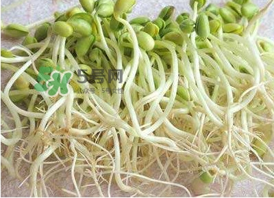 豆芽是發(fā)物嗎？豆芽能見陽光嗎