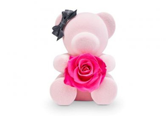 roseonly熊多少錢？roseonly玫瑰熊多少錢？