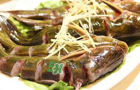 黃蜂魚怎么做好吃？黃蜂魚怎么釣