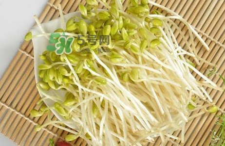 豆芽怎么保存？新鮮豆芽放冰箱能放幾天？