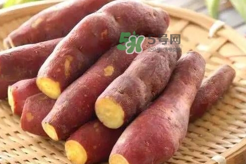 地瓜發(fā)芽能吃嗎？地瓜發(fā)芽了還可以吃嗎