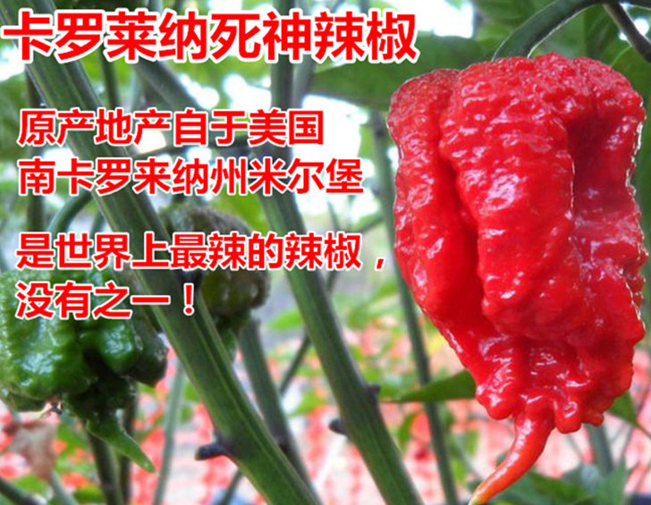 死神辣條多少錢(qián)一盒？死神辣條能吃嗎