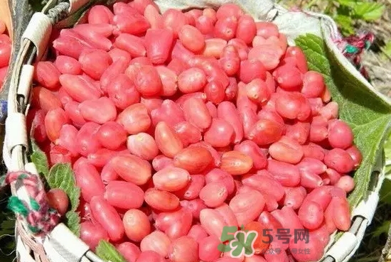 杈杷果多少錢一斤？杈杷果價(jià)格表