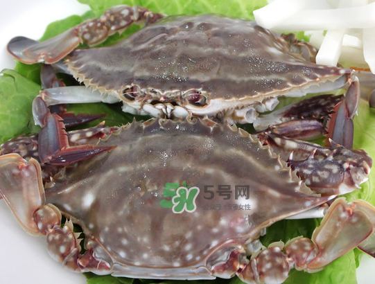 梭子蟹為什么這么貴？梭子蟹和大閘蟹哪個(gè)貴？