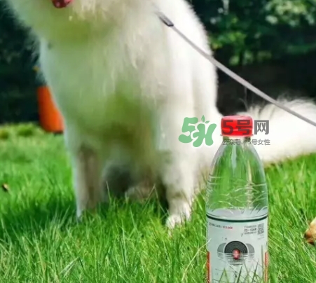 網(wǎng)易云音樂(lè)農(nóng)夫山泉樂(lè)瓶怎么玩？云音樂(lè)農(nóng)夫山泉玩法