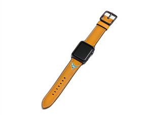 coach apple watch恐龍表帶多少錢？蔻馳蘋果手表恐龍表帶價格