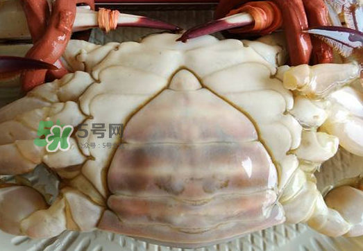 飛蟹多少錢一斤？飛蟹多少錢一斤2017？