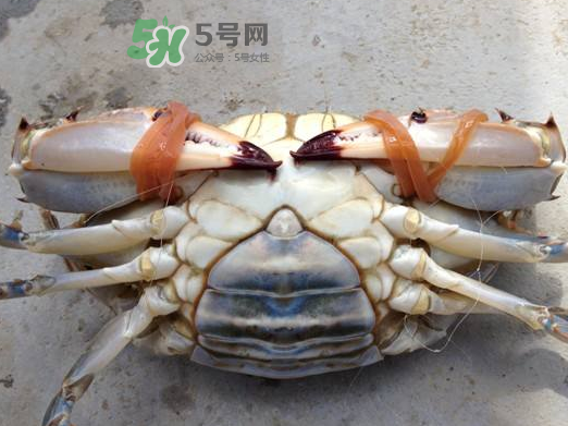 飛蟹可以冷凍嗎？飛蟹能冷凍保存嗎？